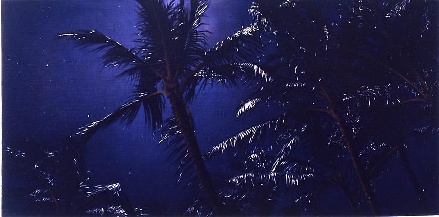 Damian Loeb, The Peak Experience, 2009
