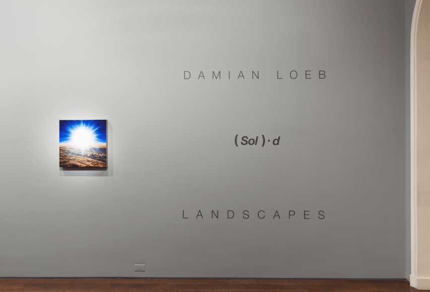 Installation view of Damian Loeb: Sol-d at Acquavella Galleries from February 28 - April 10, 2014.