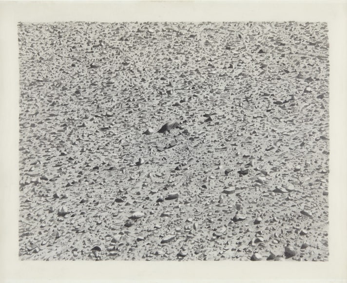 Vija Celmins, Untitled (Regular Desert), 1973