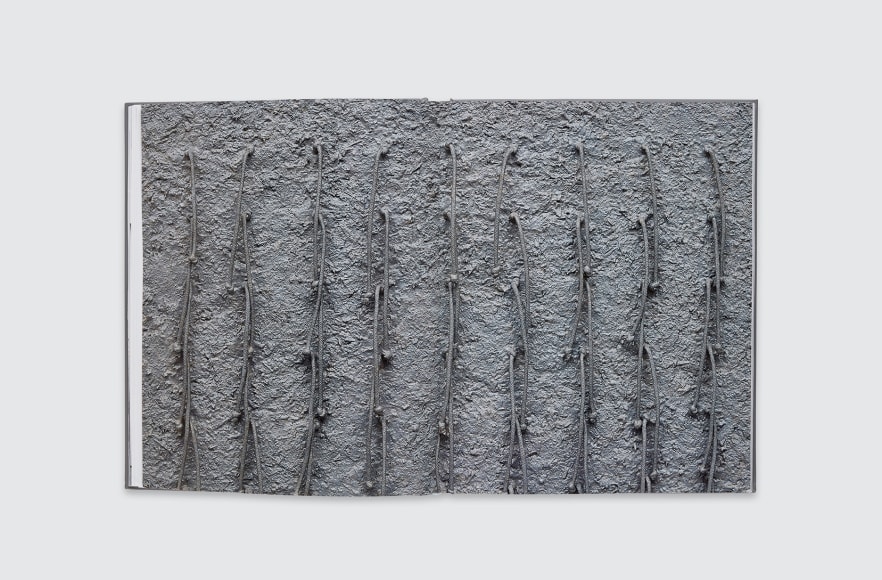 Eva Hesse/Hannah Wilke: Erotic Abstraction