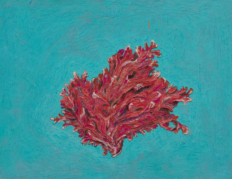 Joanis Natural History 1