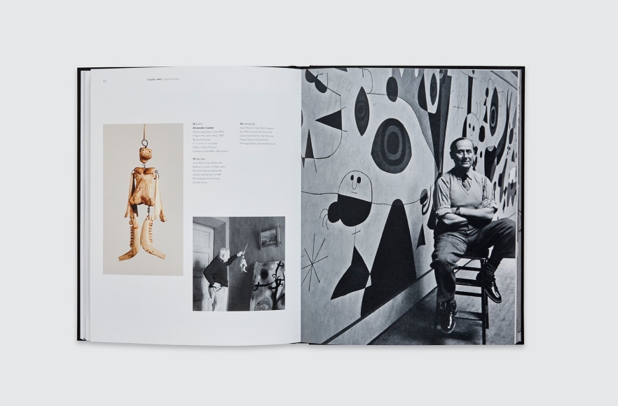 Calder | Mir&oacute; Constellations