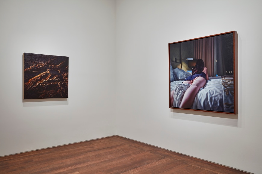 Installation view featuring Damian Loeb