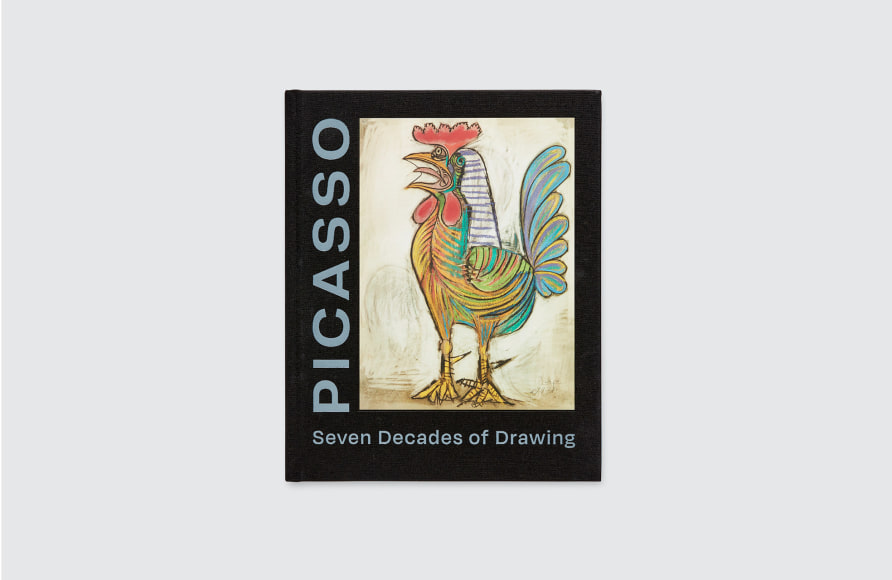 Picasso book