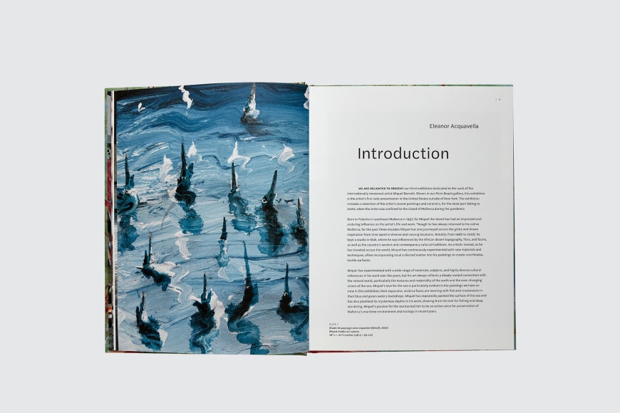 Miquel Barcel&oacute;