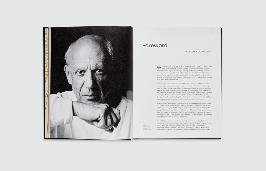 Picasso book