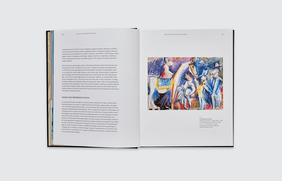 Picasso book