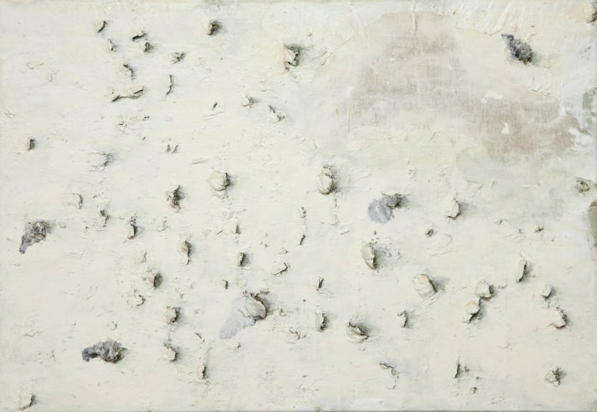 MIQUEL BARCEL&Oacute; Huitres II, 1988 Mixed media on canvas 54 1/2 x 79 in. (138.43 x 200.66 cm)