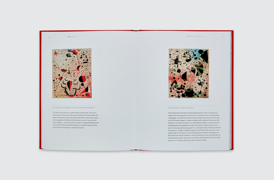 Calder | Mir&oacute; Constellations