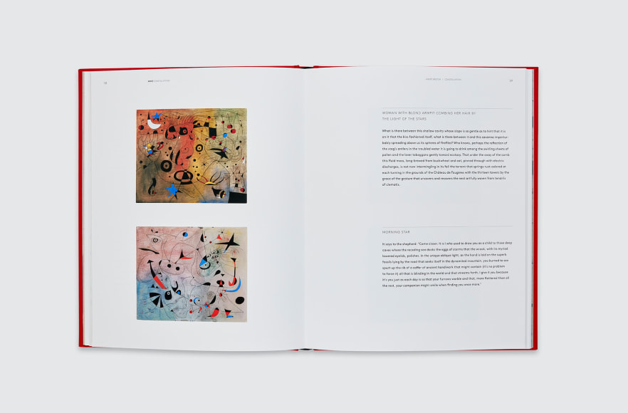 Calder | Mir&oacute; Constellations