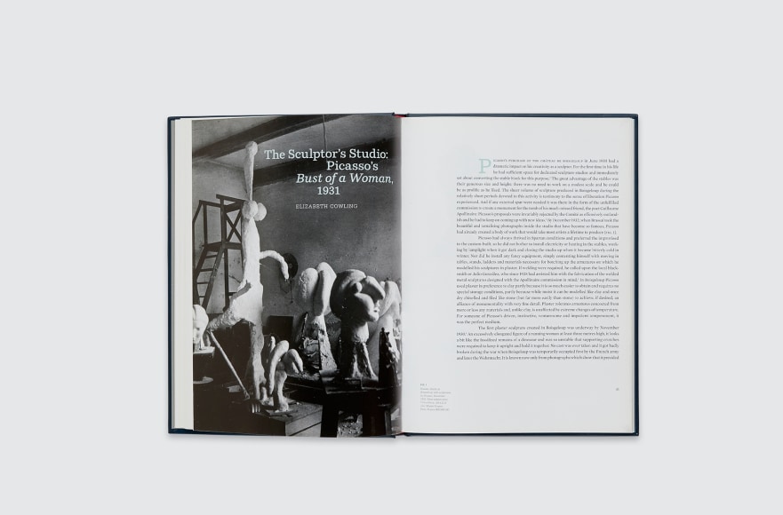 Pablo Picasso: Picasso's Marie-Th&eacute;r&egrave;se Catalogue