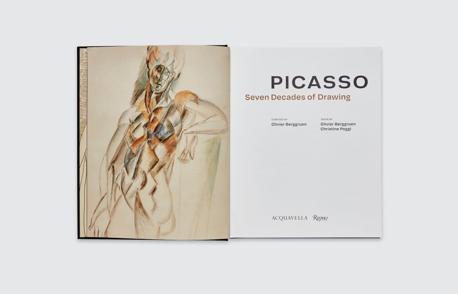 Picasso book