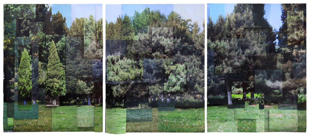 Ji_Zhou_Park_2_Archival_pigment_print_166x120cm_2017