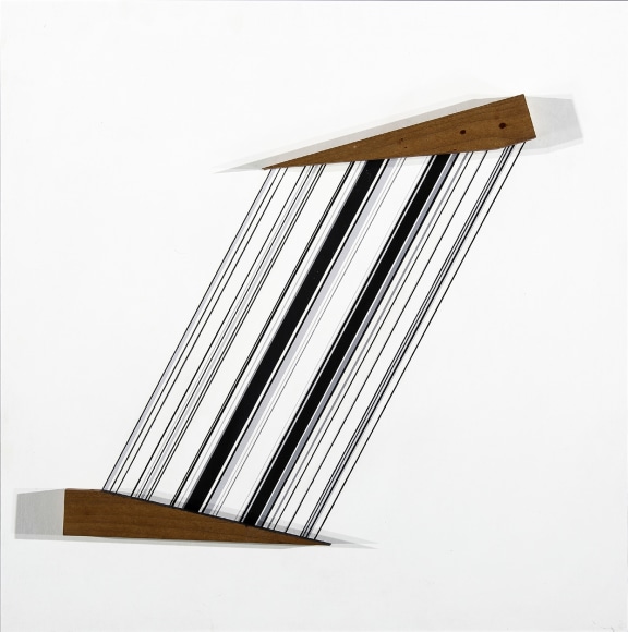 Cui_Xiuwen_Qin_Se_No.5_Phoebe_Bournei_and_acrylic_on_canvas_50x50cm_2014