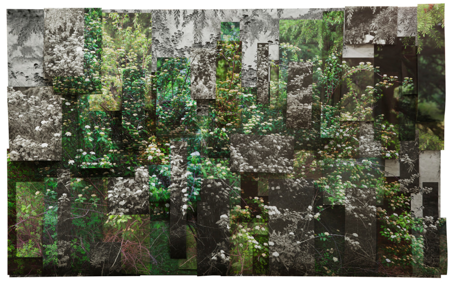 Ji_Zhou_Park_1_Archival_pigment_print_110x180cm_2017