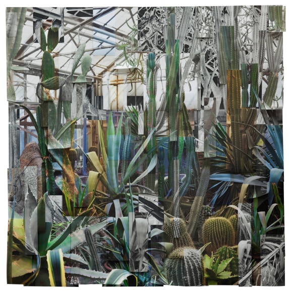 Ji_Zhou_Greenhouse_3_Archival_pigment_print_120x120cm_2017