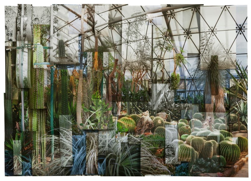 Ji_Zhou_Greenhouse_1_Archival_pigment_print_120x180cm_2017