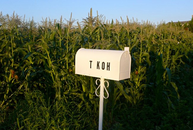 Installation view, Terence Koh,&nbsp;Children of the Corn​, Long Island, 2010