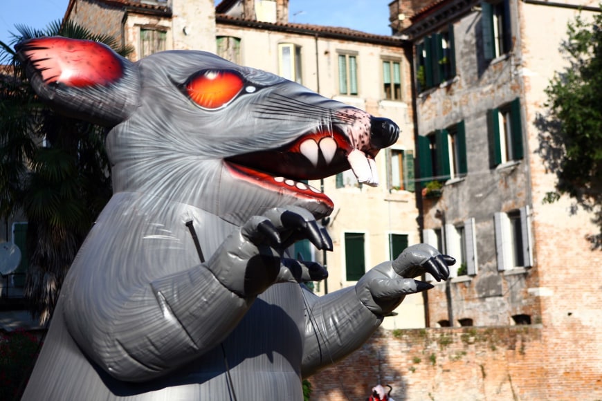 Installation view, The Bruce High Quality Foundation,&nbsp;ARGUMENTA,&nbsp;Sovrano Militare Ordine di Malta,&nbsp;Gran Priorato, Venice (Italy), 2011