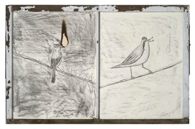 Night Light Bird&nbsp;, 2009&nbsp;