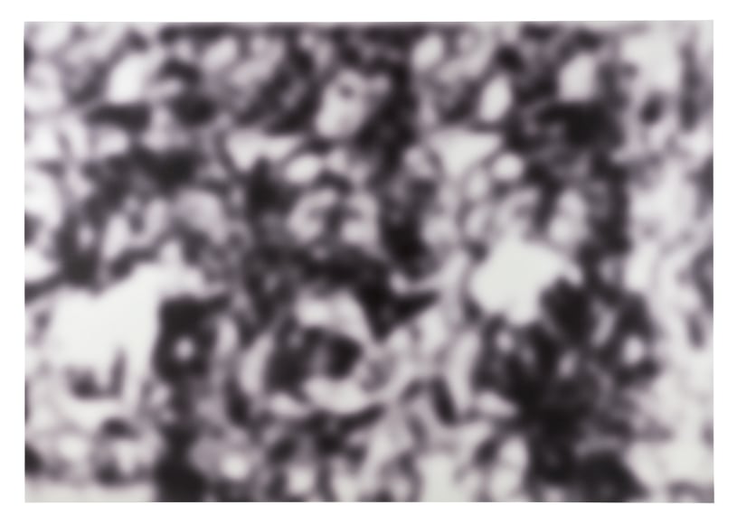 Artificial Paradise 2016