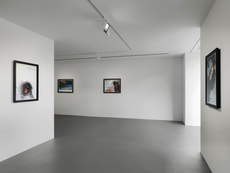 Installation view, Walton Ford, New Watercolors, Vito Schnabel Gallery, St. Moritz