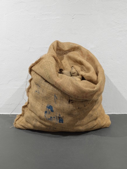 Ai Weiwei Untitled, 2023