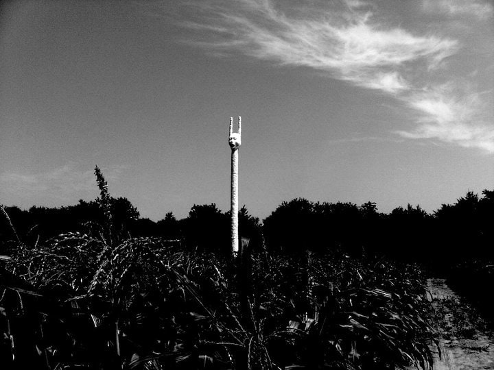 Installation view, Terence Koh,&nbsp;Children of the Corn​,&nbsp;Long Island, 2010
