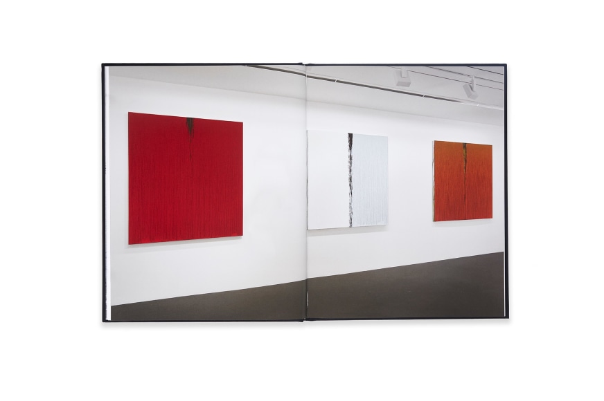 Image of Pat Steir: Paintings Catalogue spread