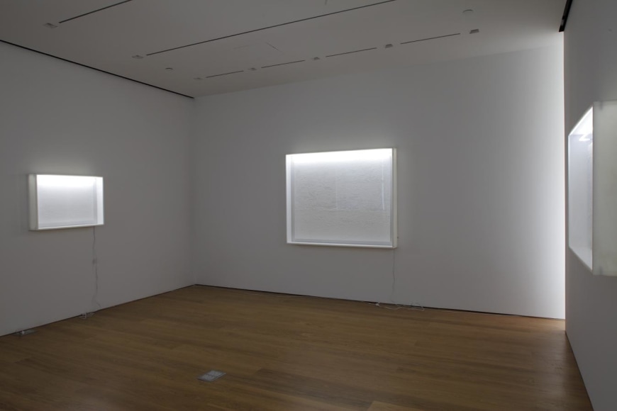 Installation view, These Days, Sotheby's S|2, New York, 2011