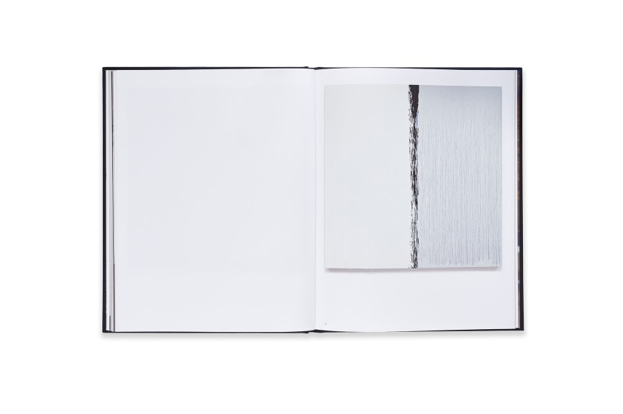 Image of Pat Steir: Paintings Catalogue spread