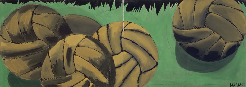 soccer balls, footballs, green grass, black background