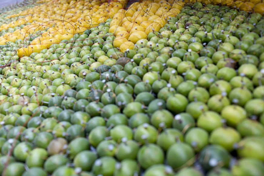 Installation view, The Bruce High Quality Foundation,&nbsp;Beyond Pastoral,&nbsp;The Tramshed, London, 2010