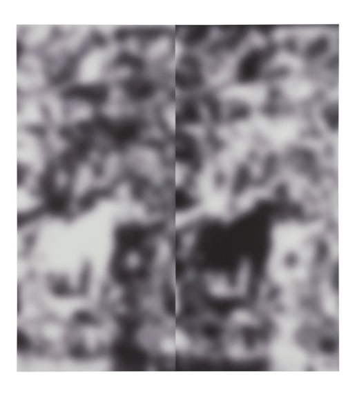 Jeff Elrod Double Lost Horse,&nbsp;2016