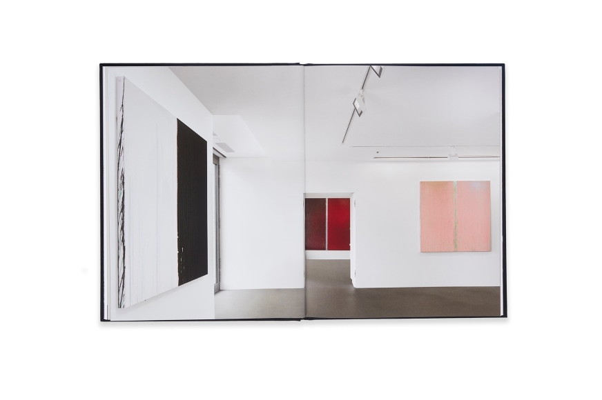 Image of Pat Steir: Paintings Catalogue spread