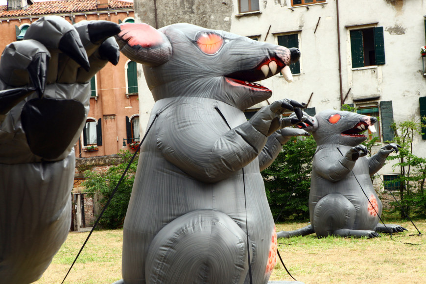 Installation view, The Bruce High Quality Foundation,&nbsp;ARGUMENTA,&nbsp;Sovrano Militare Ordine di Malta,&nbsp;Gran Priorato, Venice (Italy), 2011