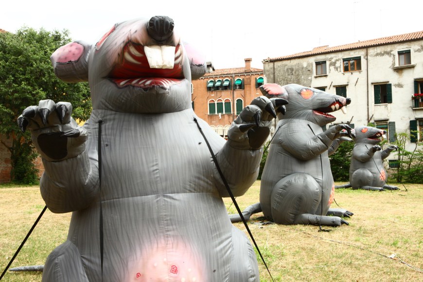 Installation view, The Bruce High Quality Foundation,&nbsp;ARGUMENTA,&nbsp;Sovrano Militare Ordine di Malta,&nbsp;Gran Priorato, Venice (Italy), 2011