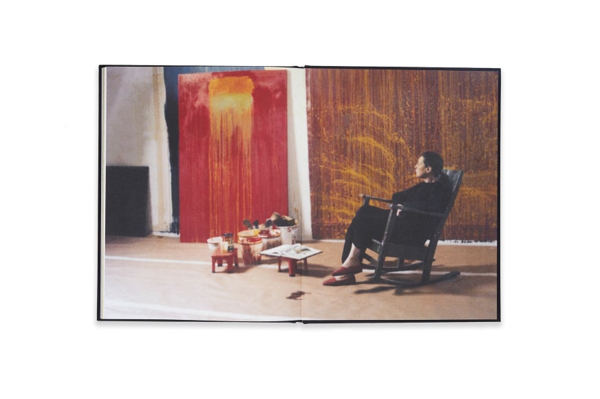 Image of Pat Steir: Paintings Catalogue spread