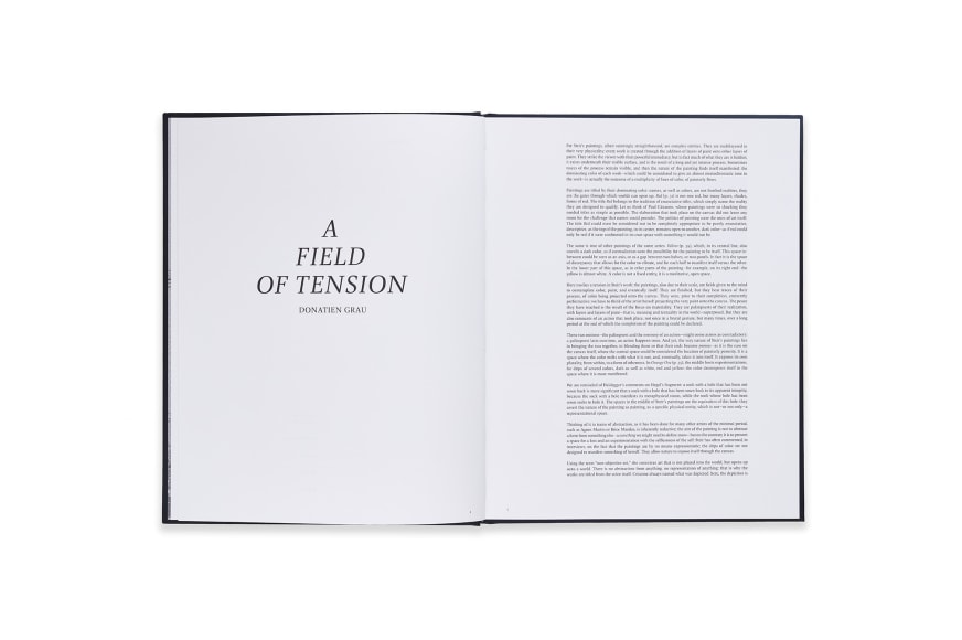 Image of Pat Steir: Paintings Catalogue spread