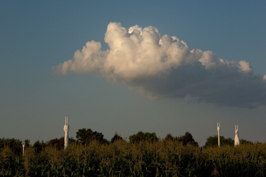 Installation view, Terence Koh,&nbsp;Children of the Corn​, Long Island, 2010
