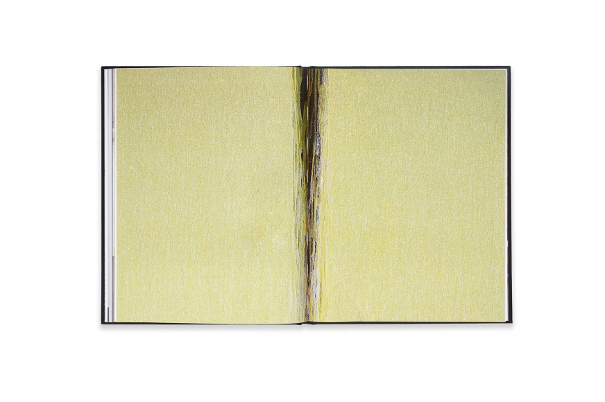 Image of Pat Steir: Paintings Catalogue spread
