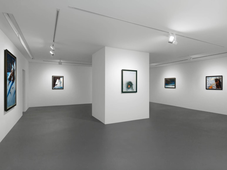 Installation view, Walton Ford, New Watercolors, Vito Schnabel Gallery, St. Moritz