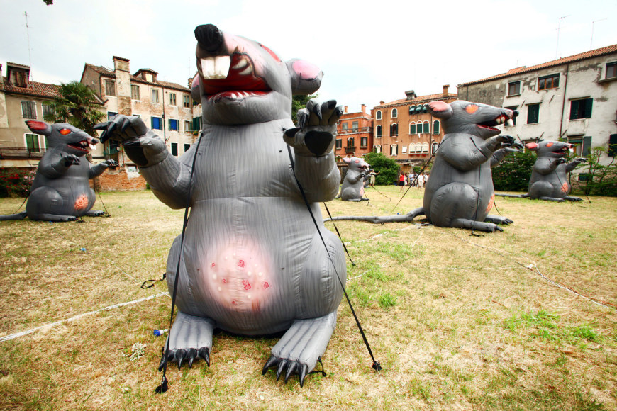 Installation view, The Bruce High Quality Foundation,&nbsp;ARGUMENTA,&nbsp;Sovrano Militare Ordine di Malta,&nbsp;Gran Priorato, Venice (Italy), 2011