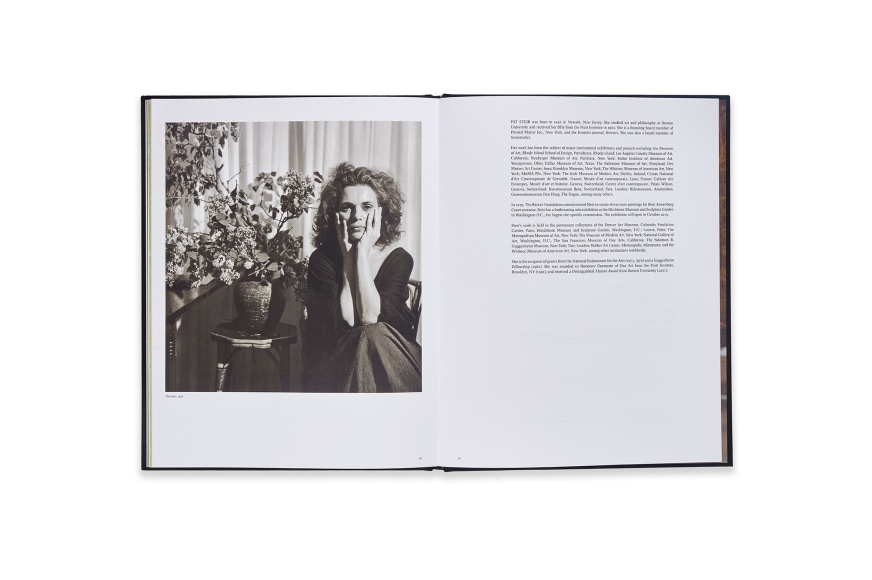 Image of Pat Steir: Paintings Catalogue spread