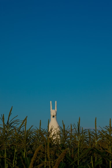 Installation view, Terence Koh,&nbsp;Children of the Corn​, Long Island, 2010