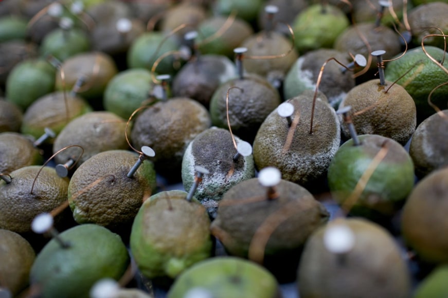 Installation view, The Bruce High Quality Foundation,&nbsp;Beyond Pastoral,&nbsp;The Tramshed, London, 2010