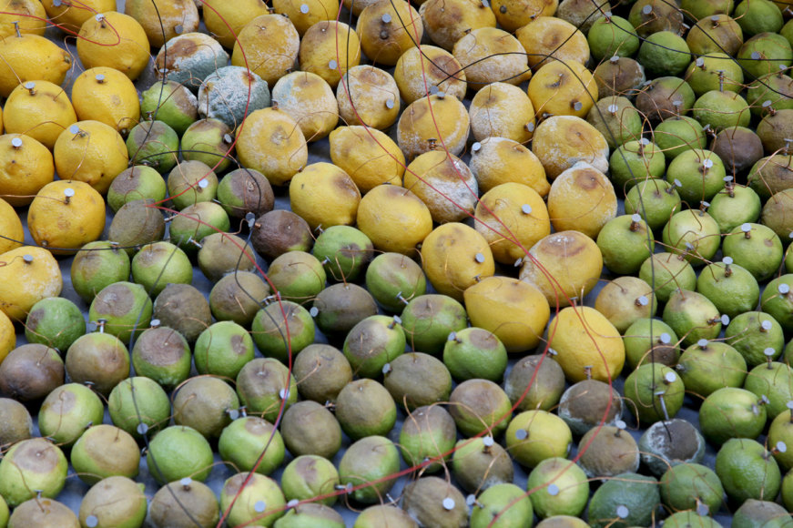Installation view, The Bruce High Quality Foundation,&nbsp;Beyond Pastoral,&nbsp;The Tramshed, London, 2010