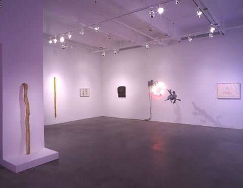 BRUCE NAUMAN Neons, Sculptures, Drawings, Van de Weghe Fine Art