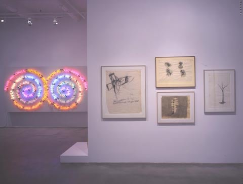 BRUCE NAUMAN Neons, Sculptures, Drawings, Van de Weghe Fine Art