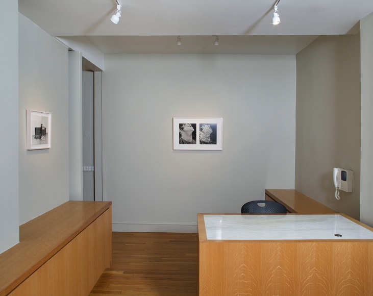 Installation view of Eureka: William Wegman Photographs 1970-1975 at Craig F. Starr Gallery